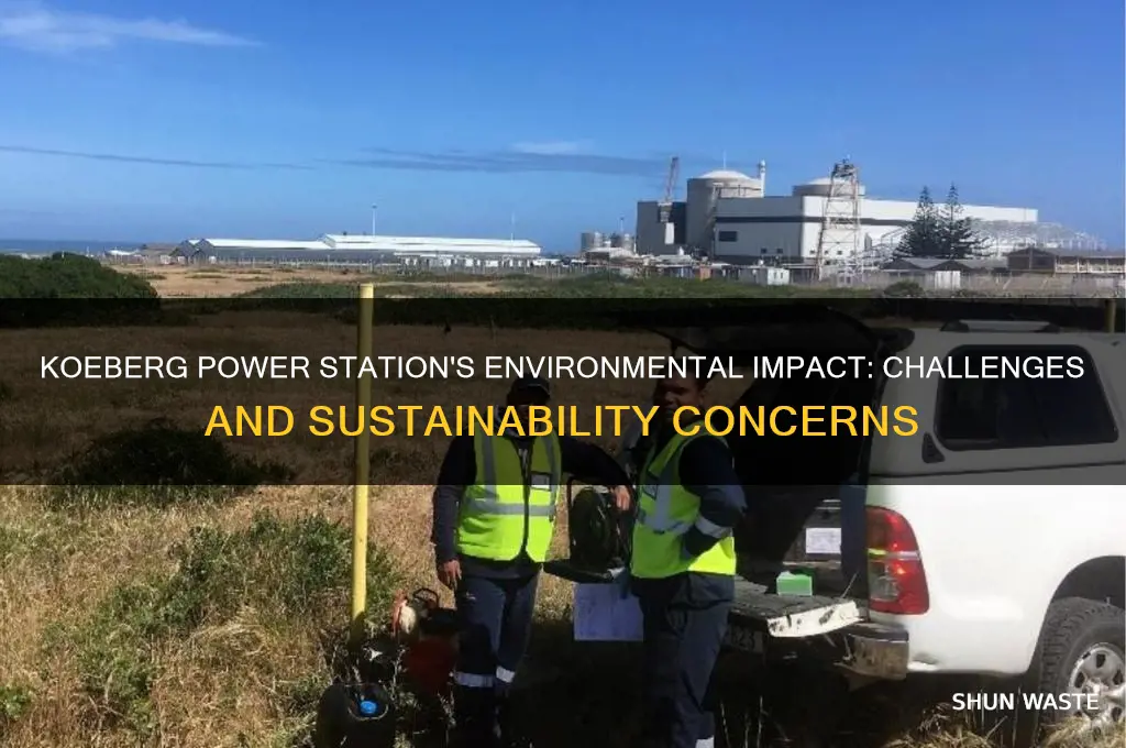 what impact does koeberg power station have on the environment