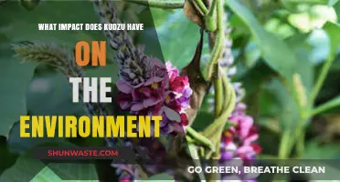 Kudzu's Environmental Impact: Invasive Species Threatening Ecosystems and Biodiversity