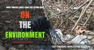 Land Pollution's Devastating Effects on Ecosystems and Environmental Health