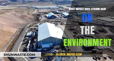Lithium's Environmental Impact: Extraction, Ecosystems, and Sustainability Concerns