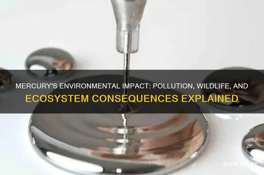 what impact does mercury have on the environment