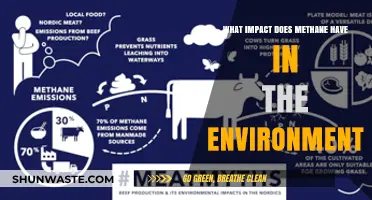 Methane's Environmental Impact: Climate Change, Ecosystems, and Global Warming