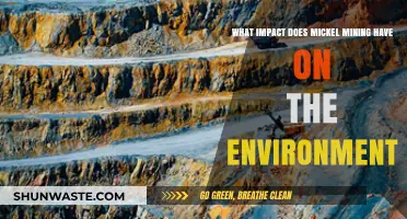 Environmental Consequences of Mickel Mining: A Comprehensive Analysis