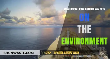 Natural Gas and Its Environmental Impact: Benefits, Drawbacks, and Future