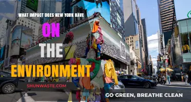 New York's Environmental Footprint: Urban Challenges and Sustainable Solutions