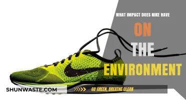 Nike's Environmental Footprint: Sustainability Efforts and Ecological Impact