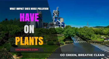 Noise Pollution: Harmful Impact on Plant Growth and Development