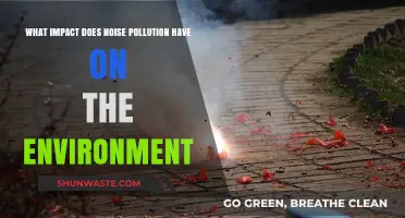 Noise Pollution: Harming Nature's Balance