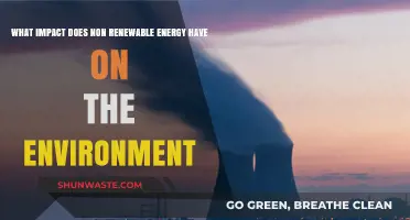 Non-Renewable Energy's Environmental Impact: Pollution, Climate Change, and Beyond