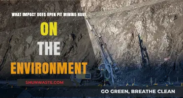 Open Pit Mining's Environmental Impact: Destruction, Pollution, and Ecosystem Loss