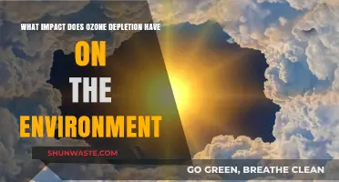 Ozone Depletion's Devastating Effects on Ecosystems and Climate Change