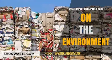 Paper's Environmental Footprint: Uncovering Its Impact on Our Planet