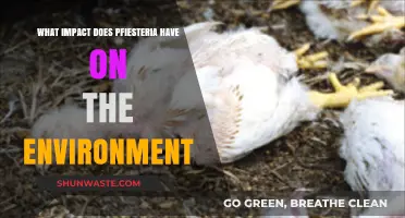 Pfiesteria's Environmental Impact: Uncovering Harmful Effects on Ecosystems and Wildlife