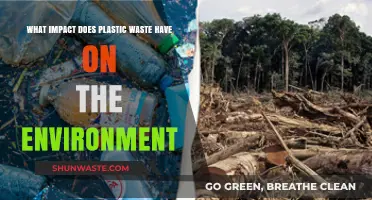 Plastic Waste's Devastating Environmental Impact: Pollution, Wildlife, and Ecosystems