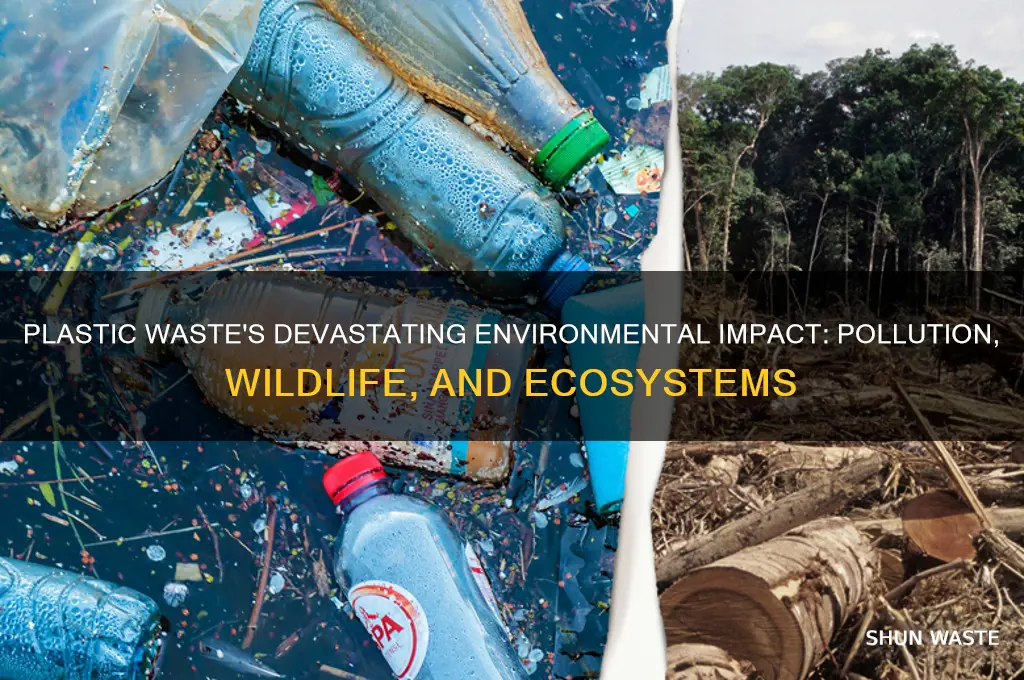 what impact does plastic waste have on the environment
