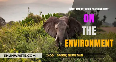 Poaching's Devastating Environmental Impact: Ecosystems, Biodiversity, and Conservation Challenges