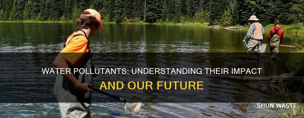 what impact does pollutants have on water