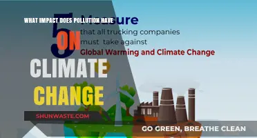 Climate Change: Pollution's Impact Explained