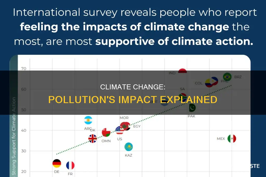 what impact does pollution have on climate change