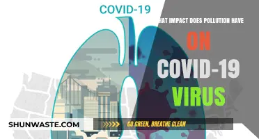 Air Pollution: A COVID-19 Aggravator