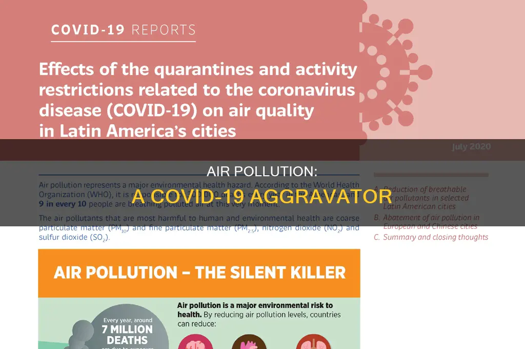 what impact does pollution have on covid-19 virus