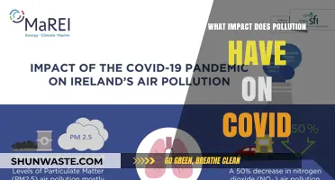Pollution's Role in COVID-19: A Complex Relationship