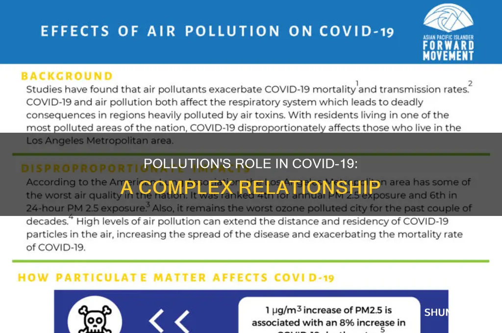 what impact does pollution have on covid