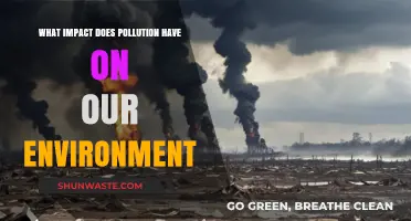 Pollution's Devastating Effects: How It Destroys Our Environment and Ecosystems