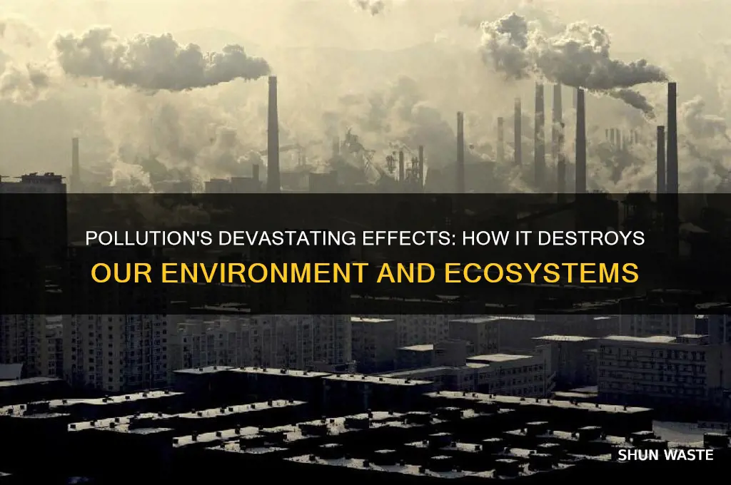 what impact does pollution have on our environment