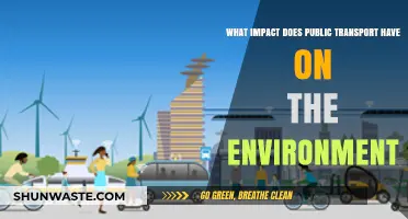 Public Transport's Environmental Impact: Sustainable Solutions for Greener Cities