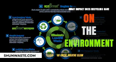 Recycling's Environmental Impact: Reducing Waste, Conserving Resources, and Protecting Ecosystems