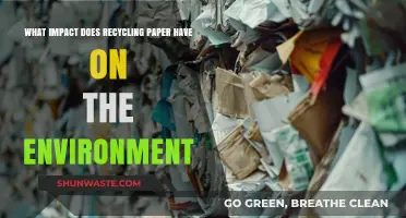 Recycling Paper: Environmental Benefits, Conservation Impact, and Sustainability