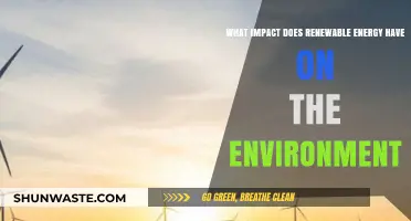 Renewable Energy's Environmental Impact: Benefits, Challenges, and Future Prospects
