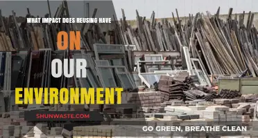 Reusing Revolution: How Everyday Actions Transform Our Environment