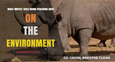 Rhino Poaching's Devastating Environmental Impact: A Critical Analysis