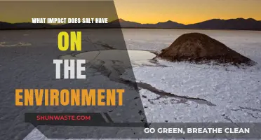 Salt's Environmental Impact: Uncovering Its Hidden Ecological Footprint