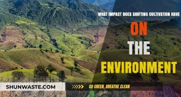 Shifting Cultivation's Environmental Impact: Benefits, Challenges, and Sustainability Concerns