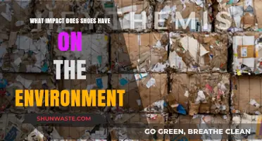Eco-Footprint of Footwear: Uncovering Shoes' Environmental Impact