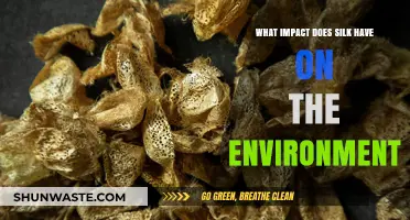 Silk's Environmental Footprint: Sustainable Luxury or Ecological Concern?