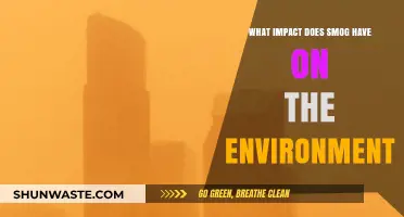 Smog's Environmental Toll: Air Pollution's Devastating Impact on Our Planet