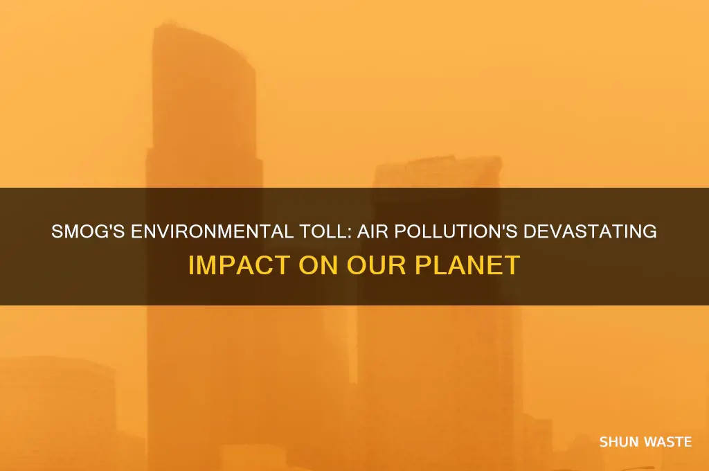 what impact does smog have on the environment
