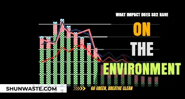 SO2's Environmental Impact: Air, Water, and Ecosystem Consequences Explained