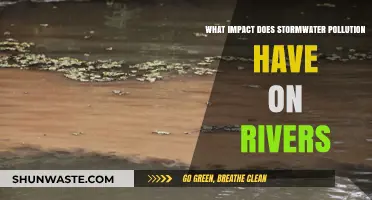 Stormwater Pollution: Rivers Under Threat