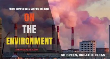 Sulfide Ore's Environmental Impact: Pollution, Ecosystems, and Sustainability Challenges
