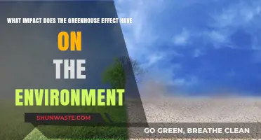 Greenhouse Effect's Environmental Impact: Consequences and Urgent Solutions