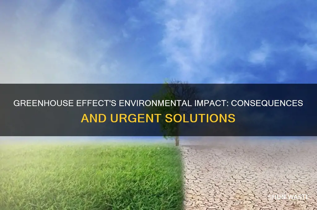what impact does the greenhouse effect have on the environment