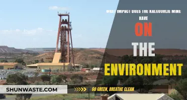 Kalgoorlie Mine's Environmental Impact: Challenges and Sustainable Solutions