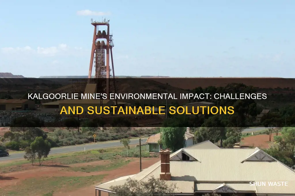 what impact does the kalgoorlie mine have on the environment