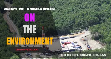 Marcellus Shale: Environmental Impacts and Ecological Consequences Explored