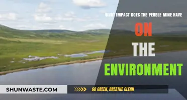 Pebble Mine's Environmental Impact: Threats to Alaska's Ecosystems and Wildlife